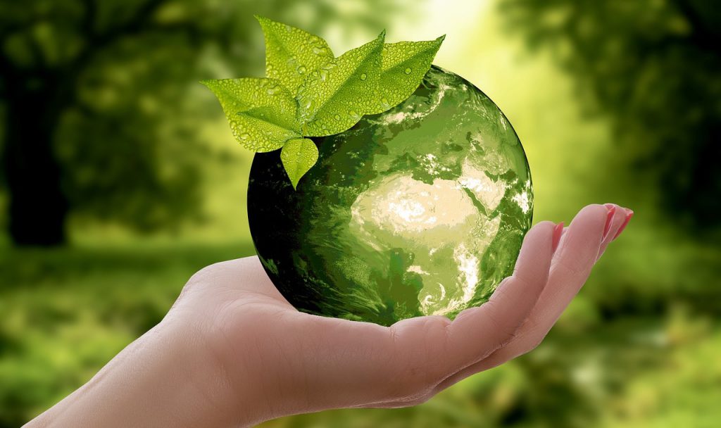Image verte d'une main tenant la planète verte